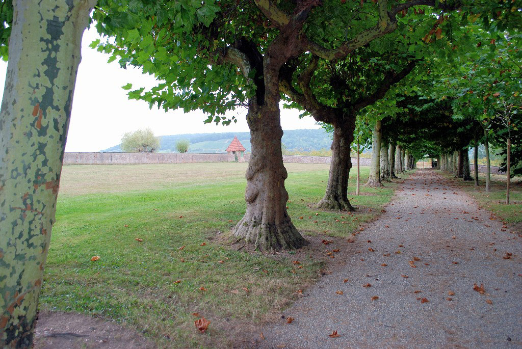 Léonardsau Park, France