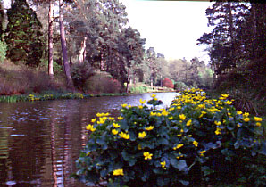 Illustrations on CD edition of Garden Visit and Travel Guide - see www.gardenvisit.com/order_form.htm