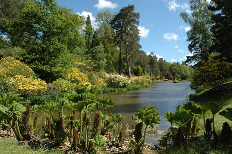 Engine Pond, Leonardslee Gardens