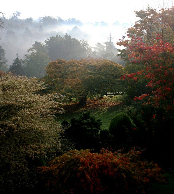 Leonardslee Gardens & Lakes, Autumn