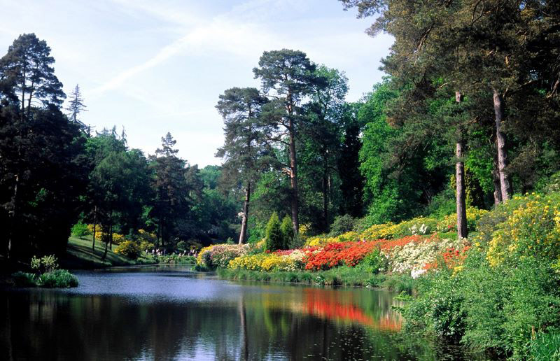 Leonardslee Gardens and Lakes, West Sussex