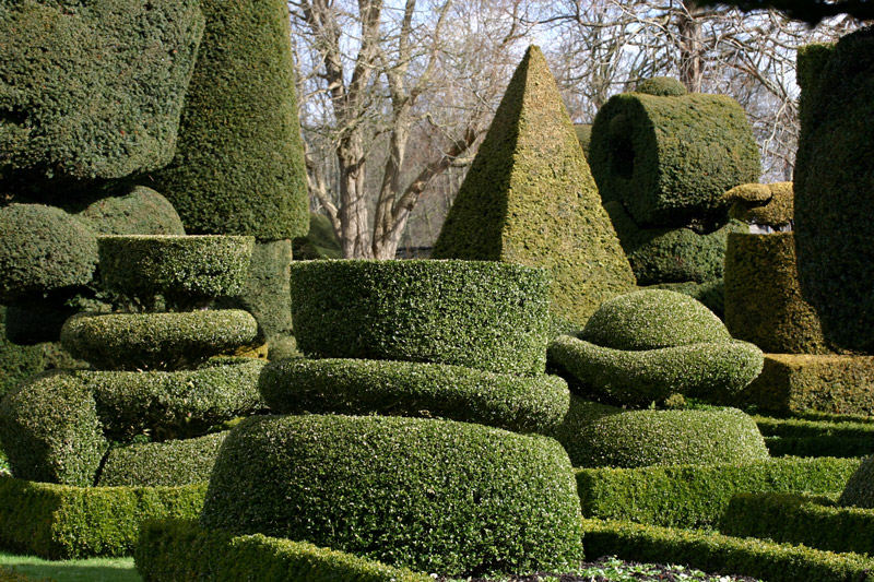 Levens Hall Garden, Cumbria