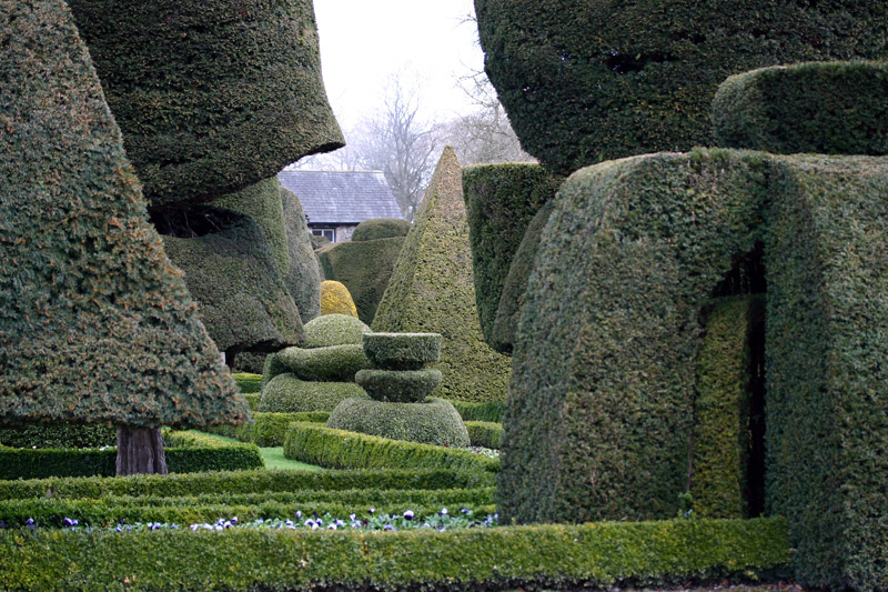 Levens Hall Garden