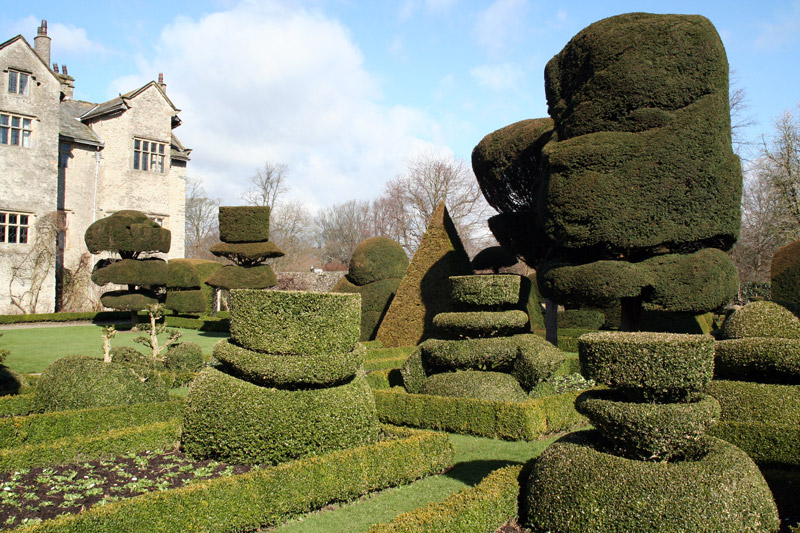 Topiary at Levens Hall
