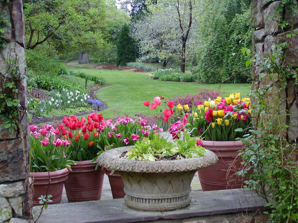 Henry M. Flagler Perennial Garden, Lewis Ginter Botanical Garden