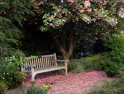 Lexington Arboretum, Bench