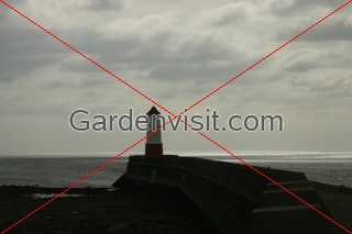 Lighthouse Berwick