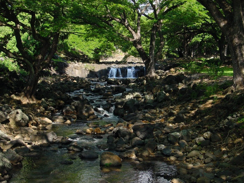 Stream, Liliuokalani Garden