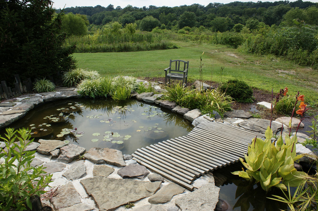 Lilypons Water Gardens, Maryland