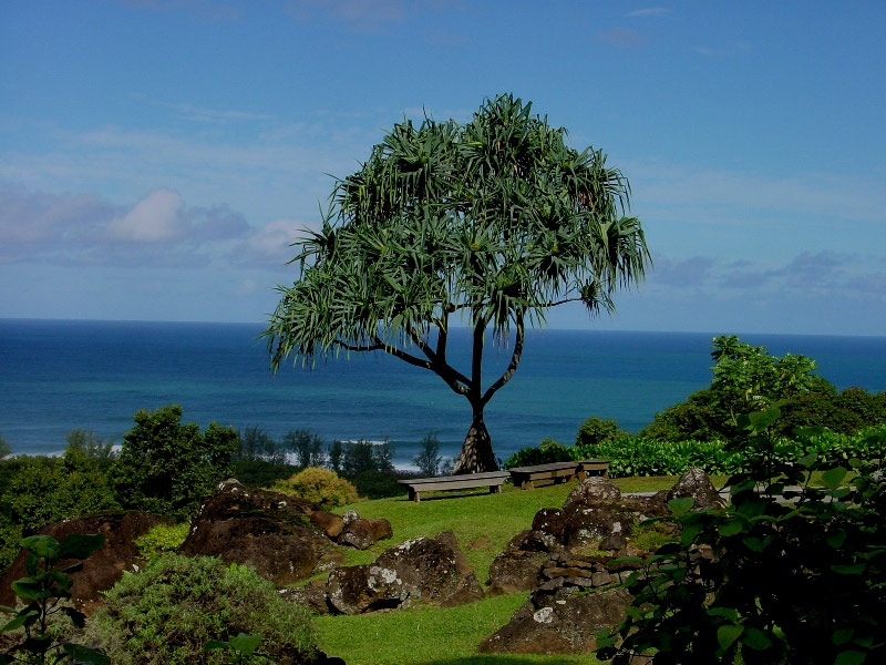 Limahuli Garden, Hawaii