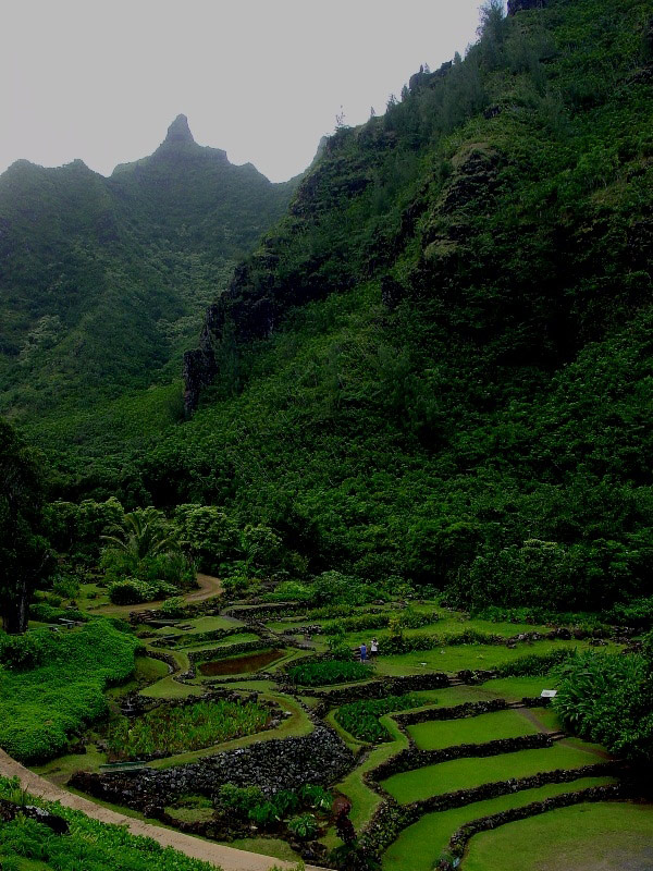Limahuli Garden, North Kauai