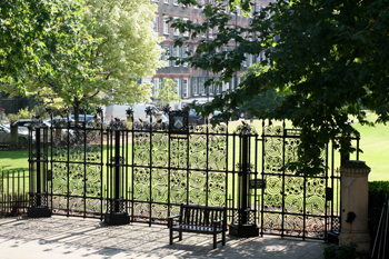Lincoln's Inn Gardens