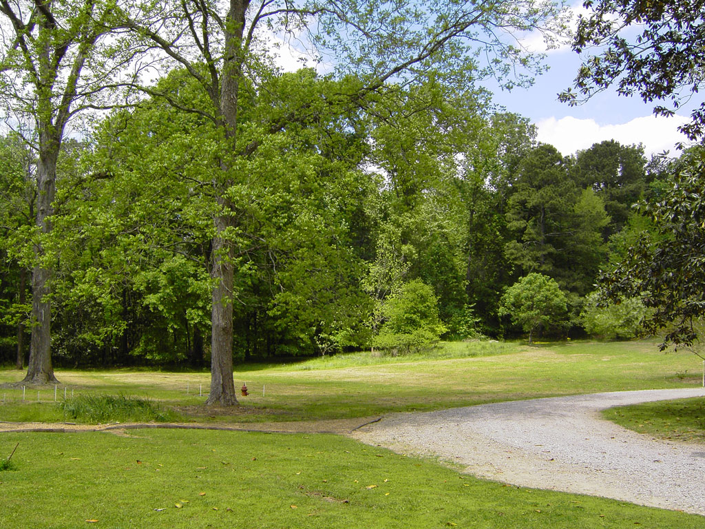 Yard, Linden Plantation Gardens
