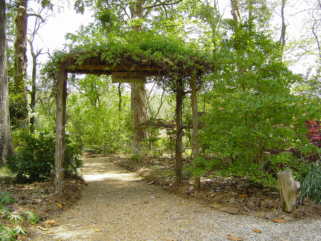 Wild Garden