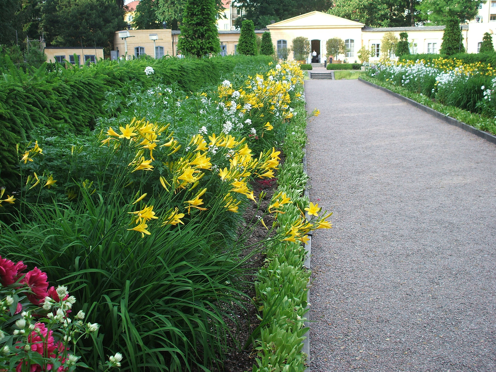 Linnetradgarden (Linnaeus Garden) Henry Heatly