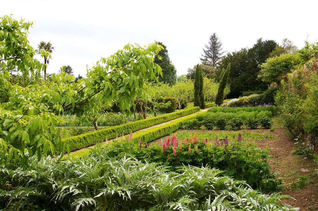 Lismore Castle Gardens Liam Hughes