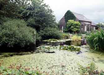Little sparta garden1