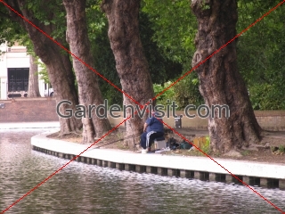 Little Venice Angler