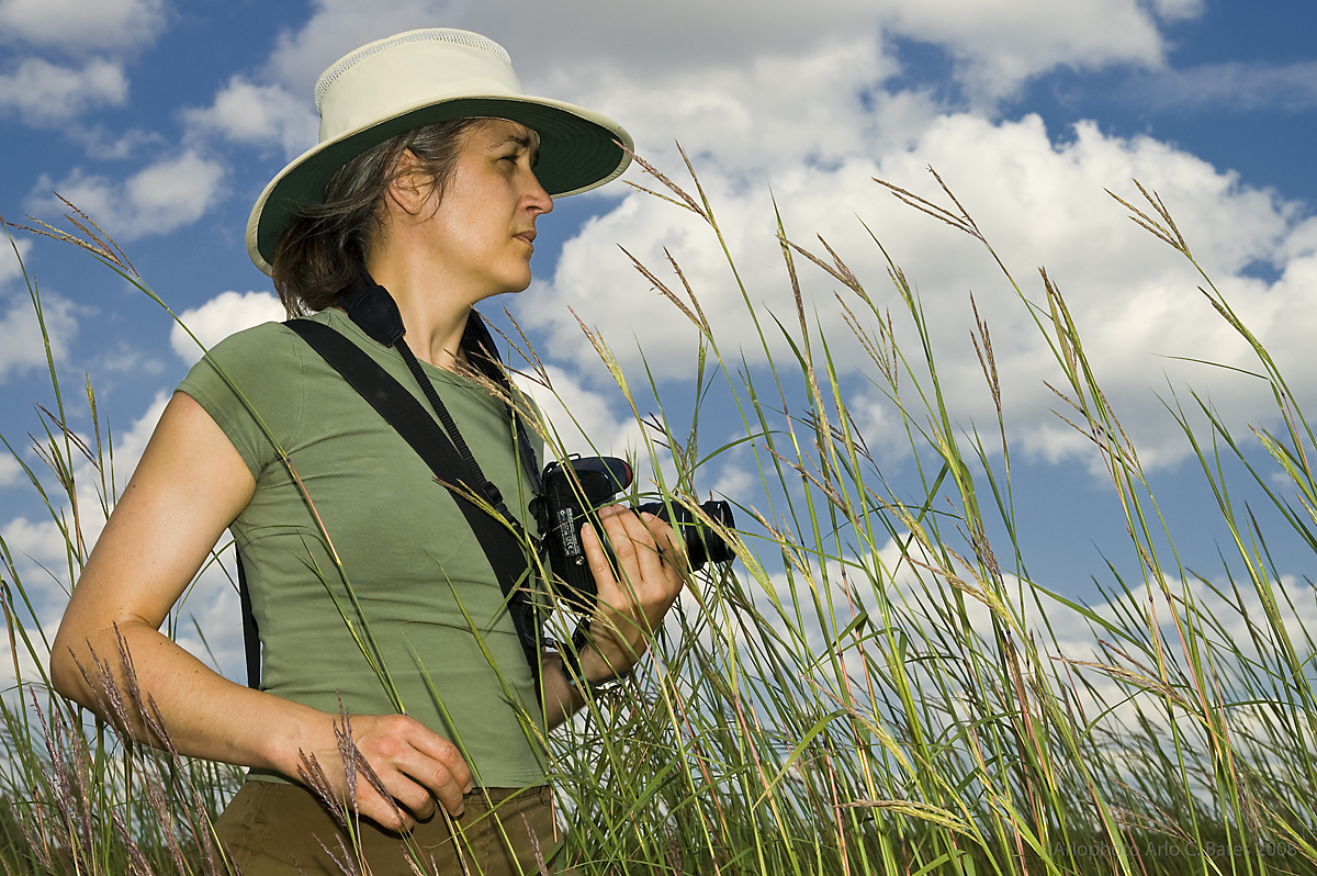 Living Prairie Garden Landscape Arlo Bates