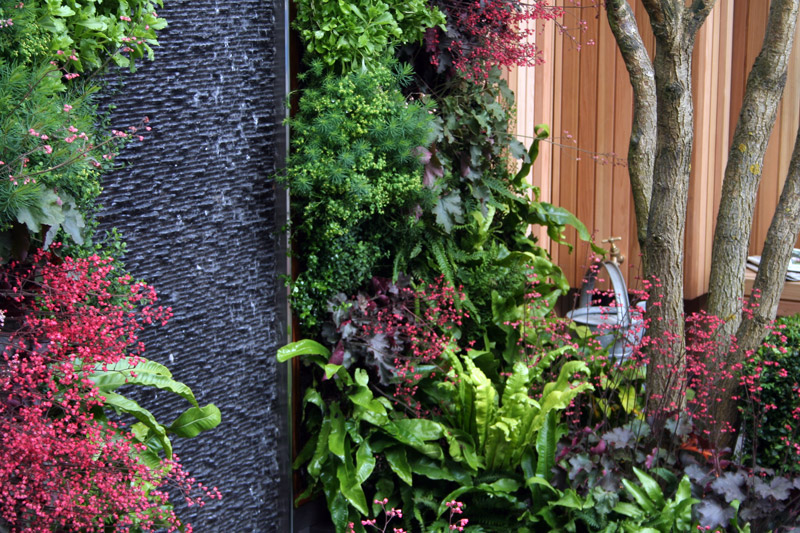 Living Wall in The Children's Society Garden, Chelsea 2008