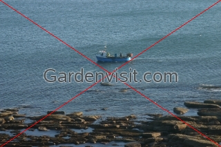 Lobster Boat