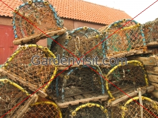 Lobster Pots