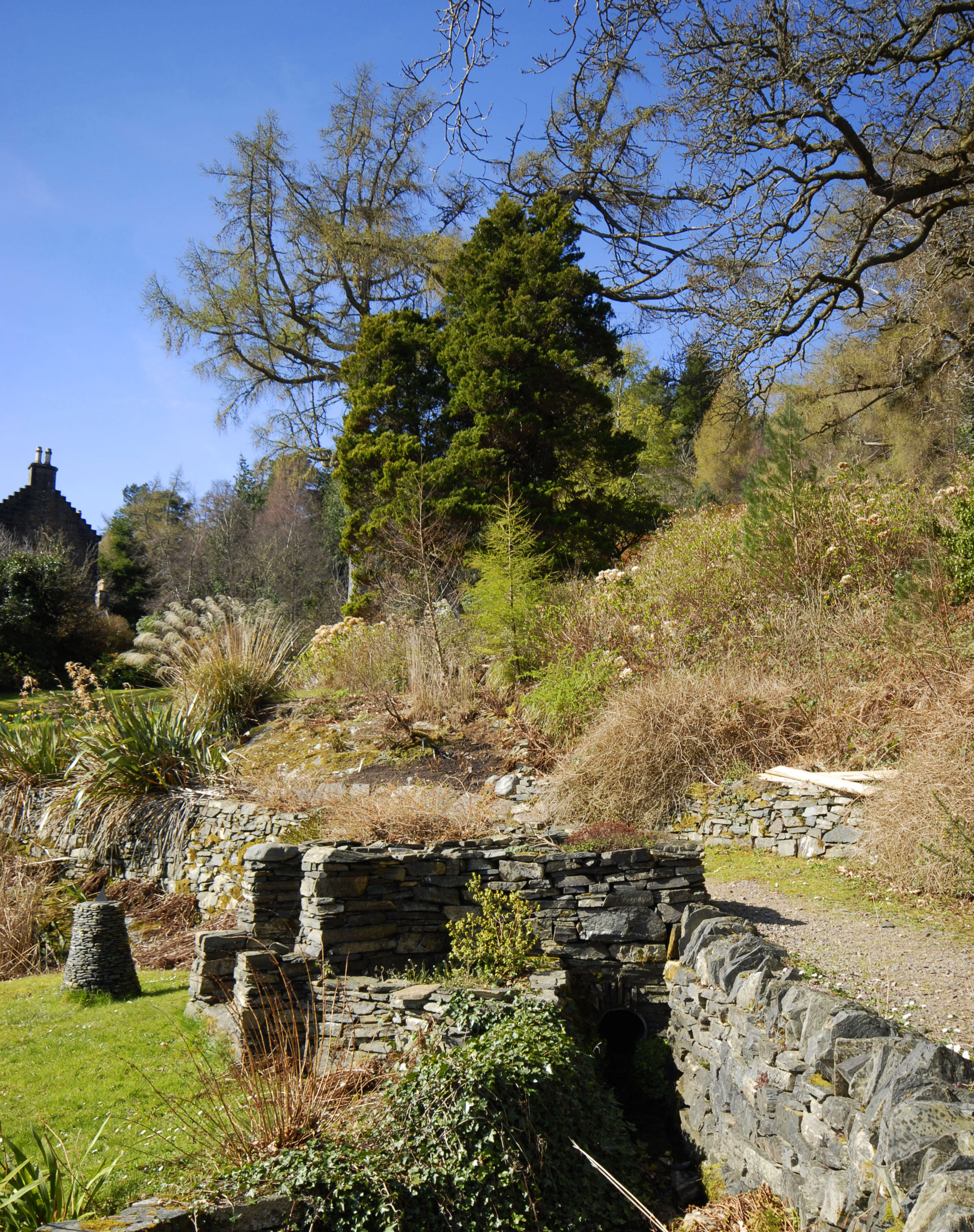 Lochalsh Woodland Garden Ed McElroy