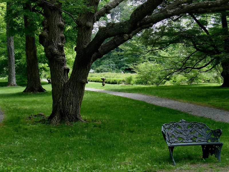 Locust Grove, USA