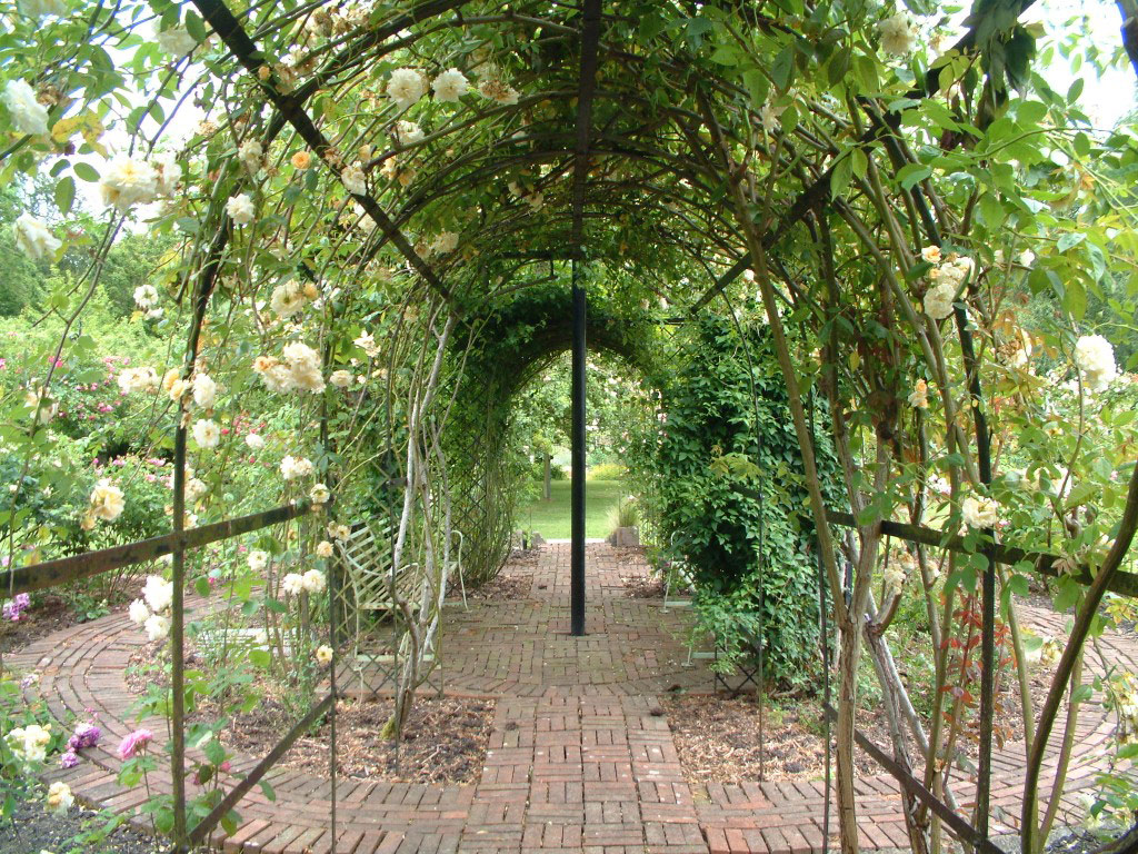 Rose Garden