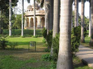 Lodi garden1