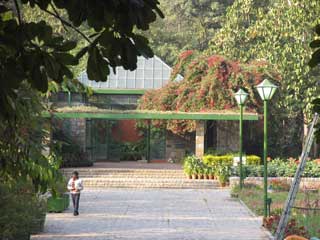 Lodi garden2