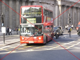 London Bus