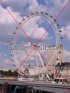 London Eye