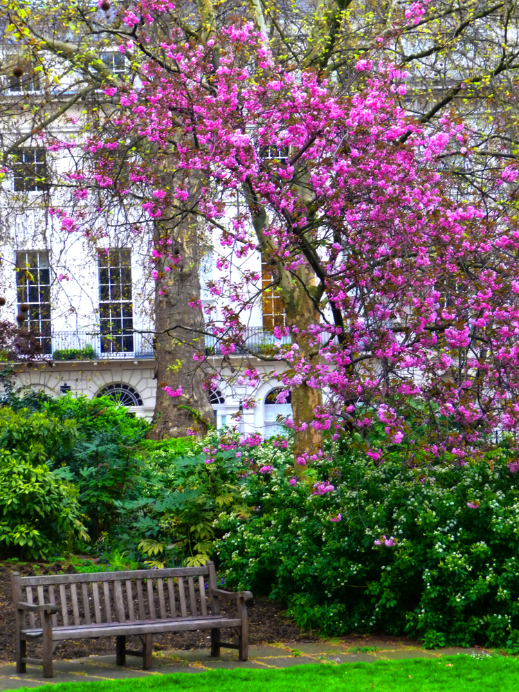 London Squares Mirona Iliescu