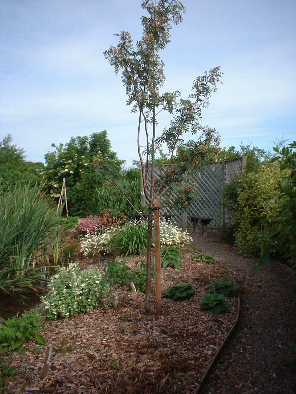 Longframlington Gardens, Morpeth