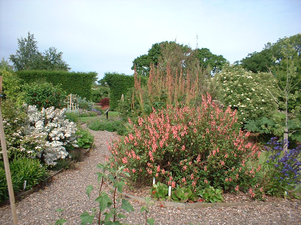 Longframlington Gardens, Northumberland