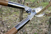 Loppers - a powerful cutting tool