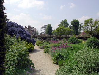 Loseley park cyanothus