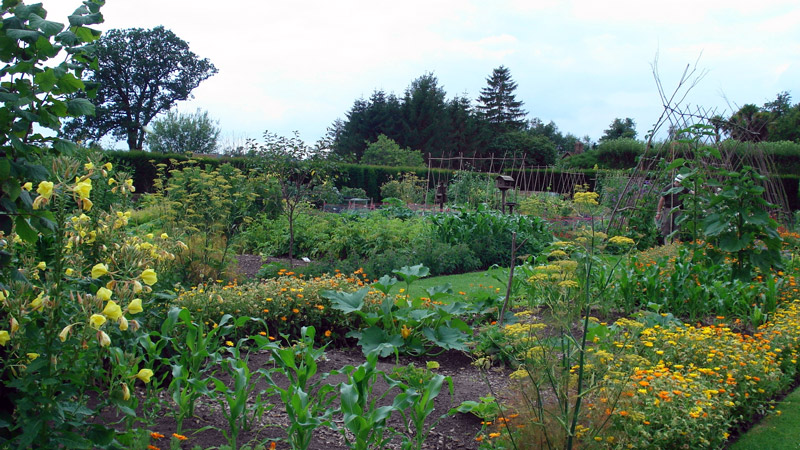 Loseley Park, Surrey