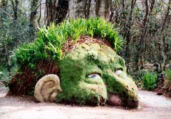 Lost gardens heligan1
