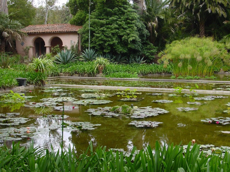 Pond, Lotusland