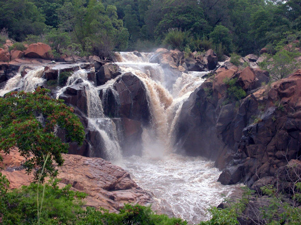 Lowveld National Botanic Garden