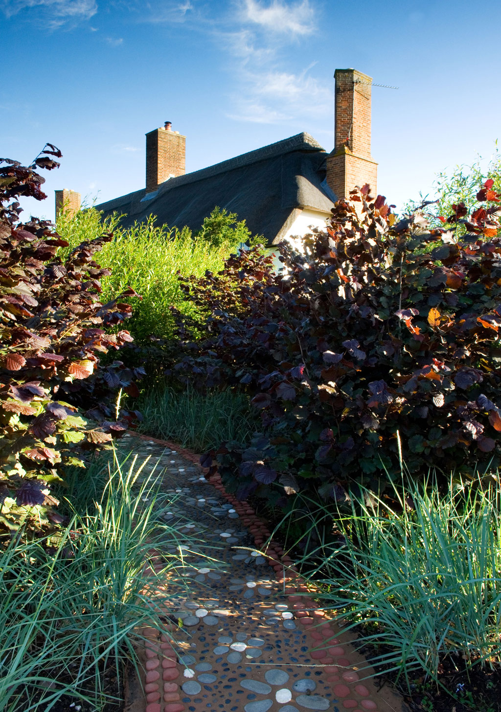 Daisy Path, Lucy Redman School of Garden Design Garden
