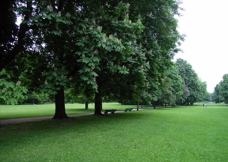 Luitpoldpark