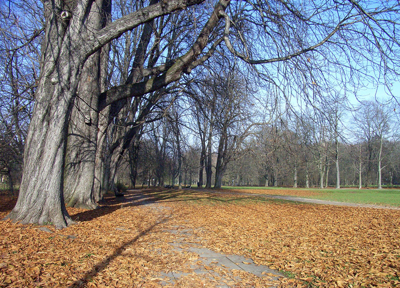 Luitpoldpark, Munich