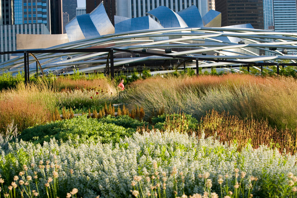 Lurie Garden, Milennium Park