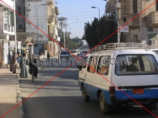 Luxor Street
