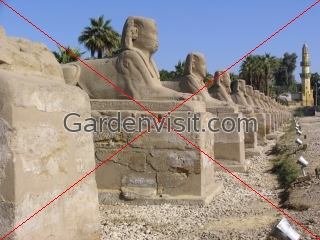 Sphinxes at Luxor Temple