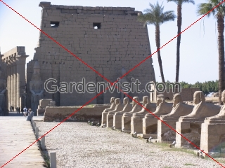 Pylon and sphinxes at Luxor Temple
