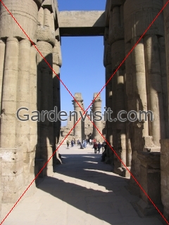Columns at Luxor Temple Egypt